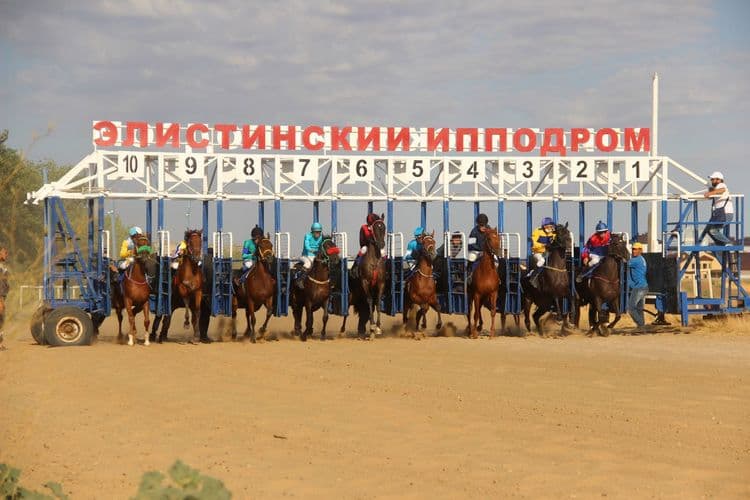 Elistory sidebar image