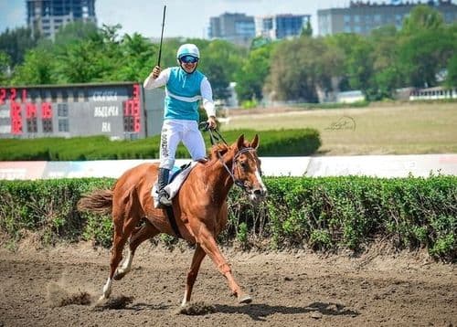  Конный клуб пос. Кетченеры, Республика Калмыкия